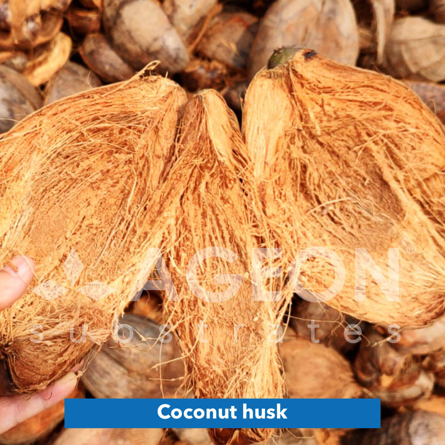 Coconut husk_AgeonSubstrates