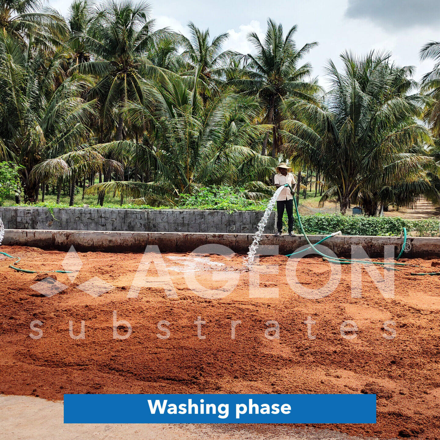 Washing phase_AgeonSubstrates