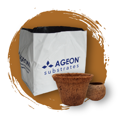 FinalProducts_AgeonSubstrates